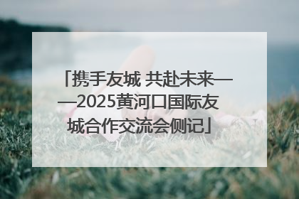 携手友城 共赴未来——2025黄河口国际友城合作交流会侧记