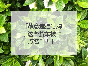 故意遮挡号牌，这些货车被“点名”！