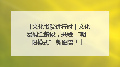 文化书院进行时｜文化浸润全龄段，共绘 “朝阳模式” 新图景！