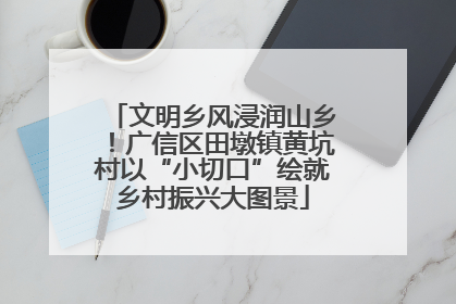 文明乡风浸润山乡！广信区田墩镇黄坑村以“小切口”绘就乡村振兴大图景