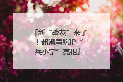 新“战友”来了！超飒雪豹IP“兵小宁”亮相