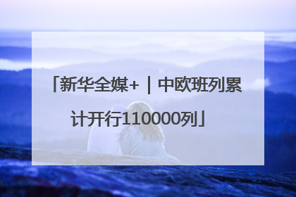 新华全媒+｜中欧班列累计开行110000列
