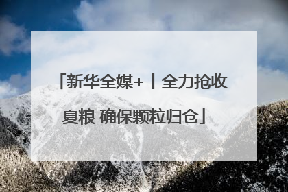 新华全媒+丨全力抢收夏粮 确保颗粒归仓