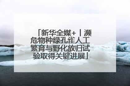 新华全媒+丨濒危物种绿孔雀人工繁育与野化放归试验取得关键进展
