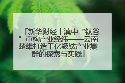 新华财经丨滇中“钛谷”重构产业经纬——云南楚雄打造千亿级钛产业集群的探索与实践