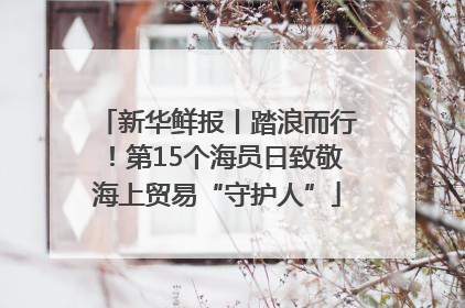 新华鲜报丨踏浪而行！第15个海员日致敬海上贸易“守护人”