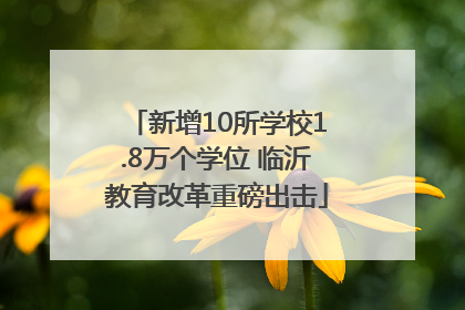 新增10所学校1.8万个学位 临沂教育改革重磅出击