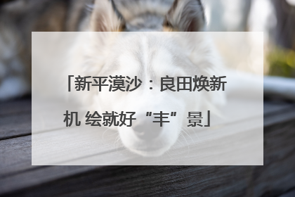 新平漠沙：良田焕新机 绘就好“丰”景
