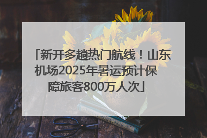 新开多趟热门航线！山东机场2025年暑运预计保障旅客800万人次