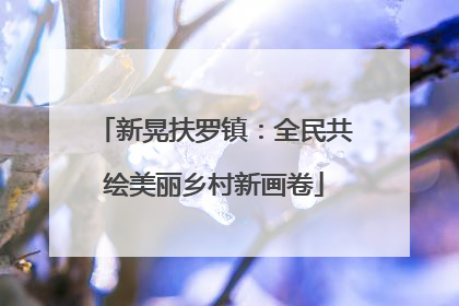 新晃扶罗镇：全民共绘美丽乡村新画卷
