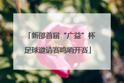 新邵首届“广益”杯足球邀请赛鸣哨开赛