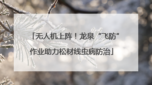 无人机上阵！龙泉“飞防”作业助力松材线虫病防治