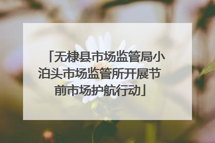 无棣县市场监管局小泊头市场监管所开展节前市场护航行动