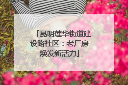 昆明莲华街道建设路社区：老厂房焕发新活力