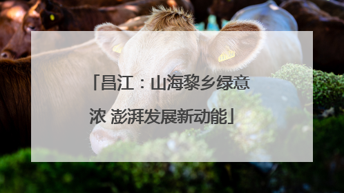 昌江：山海黎乡绿意浓 澎湃发展新动能