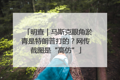明查｜马斯克眼角淤青是特朗普打的？网传截图是“高仿”
