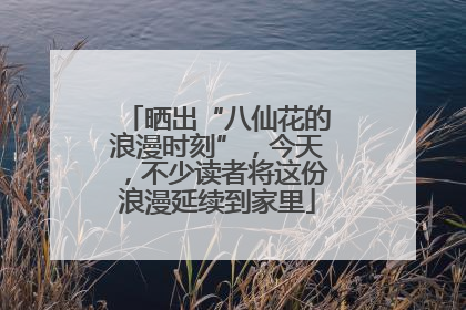 晒出“八仙花的浪漫时刻”，今天，不少读者将这份浪漫延续到家里