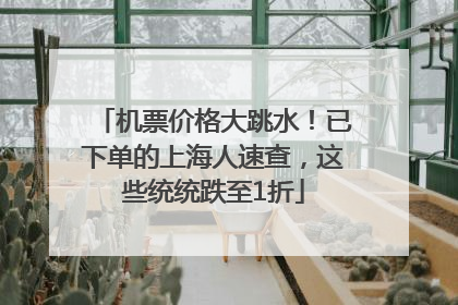 机票价格大跳水！已下单的上海人速查，这些统统跌至1折