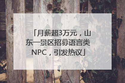 月薪超3万元，山东一景区招募语言类NPC，引发热议