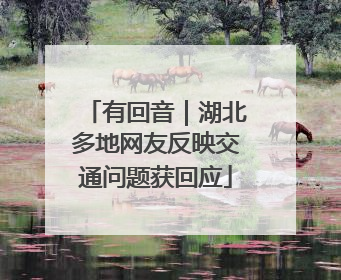有回音｜湖北多地网友反映交通问题获回应
