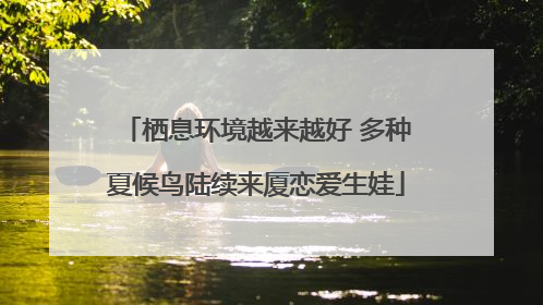 栖息环境越来越好 多种夏候鸟陆续来厦恋爱生娃