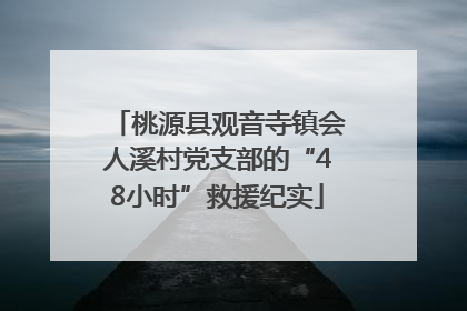 桃源县观音寺镇会人溪村党支部的“48小时”救援纪实