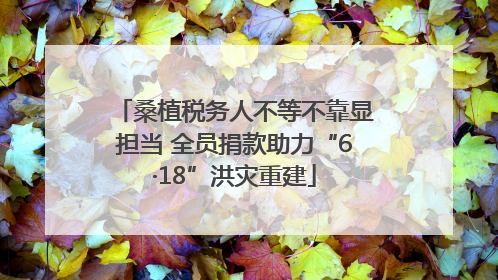 桑植税务人不等不靠显担当 全员捐款助力“6·18”洪灾重建