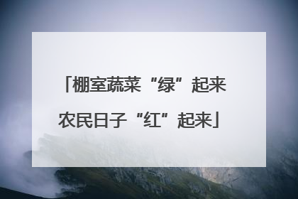 棚室蔬菜“绿”起来 农民日子“红”起来