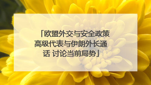 欧盟外交与安全政策高级代表与伊朗外长通话 讨论当前局势