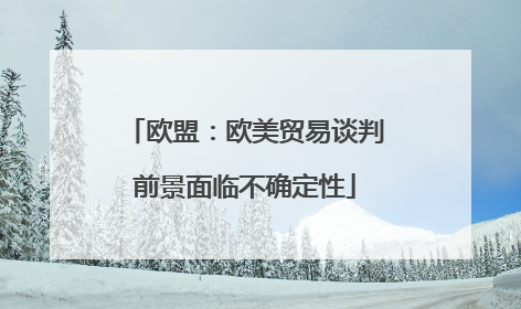 欧盟：欧美贸易谈判前景面临不确定性