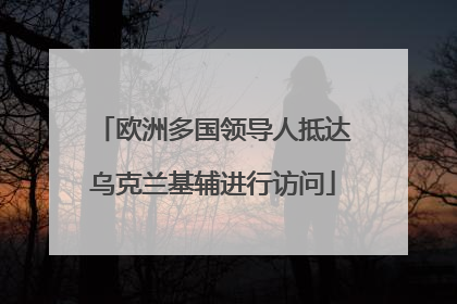 欧洲多国领导人抵达乌克兰基辅进行访问
