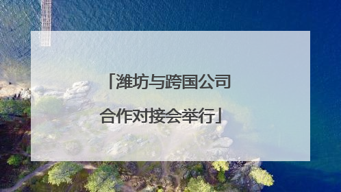 潍坊与跨国公司合作对接会举行