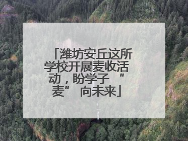 潍坊安丘这所学校开展麦收活动，盼学子 “麦” 向未来