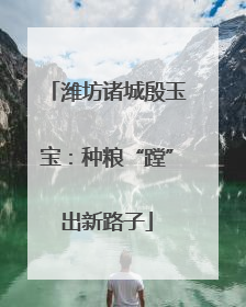 潍坊诸城殷玉宝：种粮“蹚”出新路子
