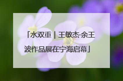 水双重｜王敏杰·余王波作品展在宁海启幕