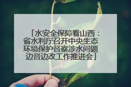 水安全保障看山西：省水利厅召开中央生态环境保护督察涉水问题边督边改工作推进会
