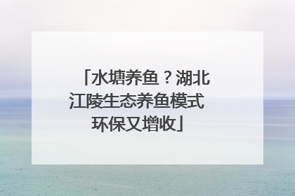 水塘养鱼？湖北江陵生态养鱼模式环保又增收
