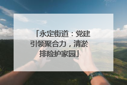 永定街道：党建引领聚合力，清淤排险护家园
