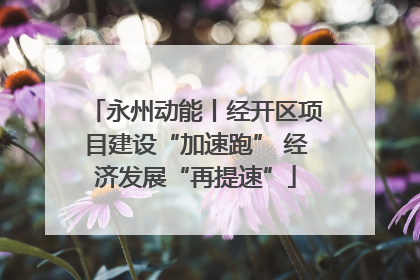 永州动能丨经开区项目建设“加速跑” 经济发展“再提速”