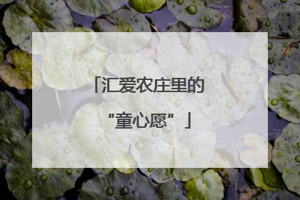 汇爱农庄里的“童心愿”