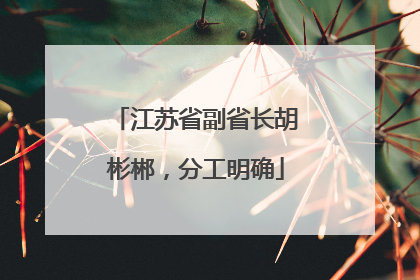 江苏省副省长胡彬郴，分工明确
