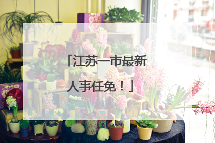 江苏一市最新人事任免！