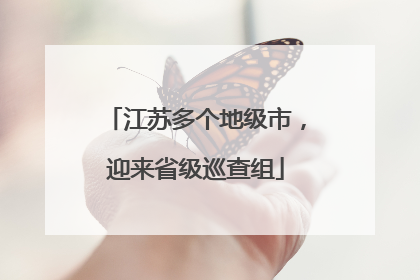 江苏多个地级市，迎来省级巡查组