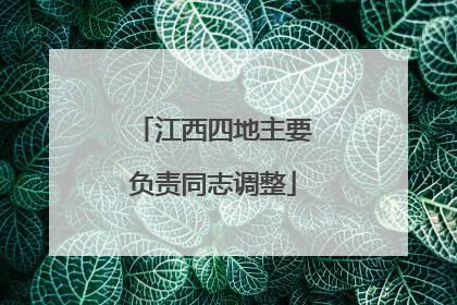 江西四地主要负责同志调整