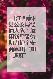 江西泰和县公安局经侦大队：运用新型警务助力护企安商跑出“加速度”