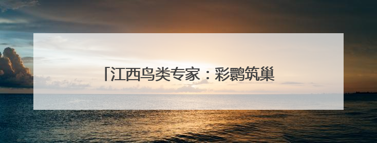 江西鸟类专家：彩鹮筑巢或撬动全年观鸟经济链