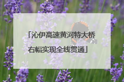 沁伊高速黄河特大桥右幅实现全线贯通