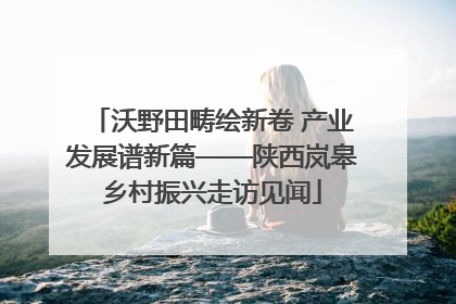 沃野田畴绘新卷 产业发展谱新篇——陕西岚皋乡村振兴走访见闻