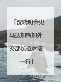 沈晓明会见马达加斯加外交部长拉萨塔一行
