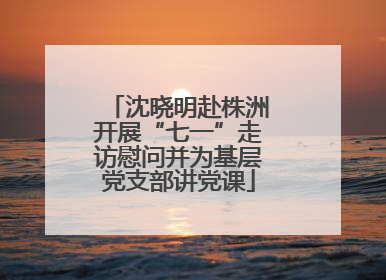沈晓明赴株洲开展“七一”走访慰问并为基层党支部讲党课